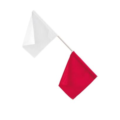 Vinex Official Flags