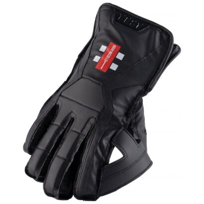 GN 1000 Wicket Keeping Gloves