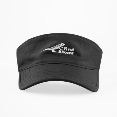 Pulse Visor