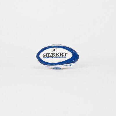 Gilbert Rugby DHL Stormers Replica Mini Rugby Ball